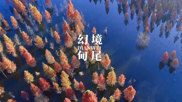 哈哈体育活动官方入口